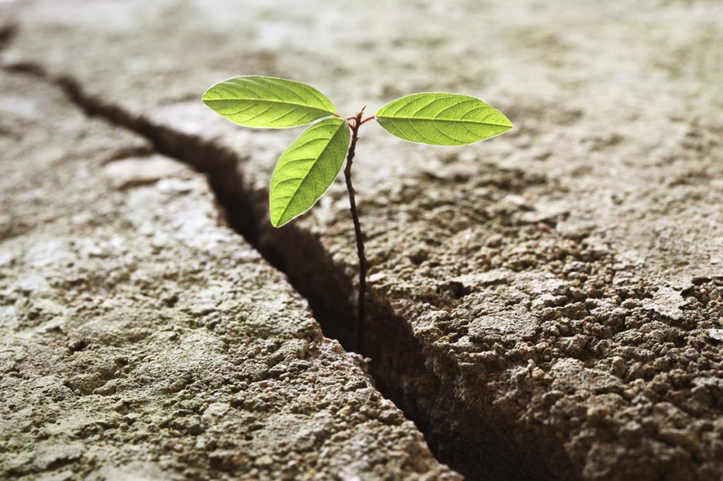 Stress Resilience • Affordable Online Classes • Mandatory Classes • Court Ordered Classes • CE Classes • www.affordableonlineclasses.com