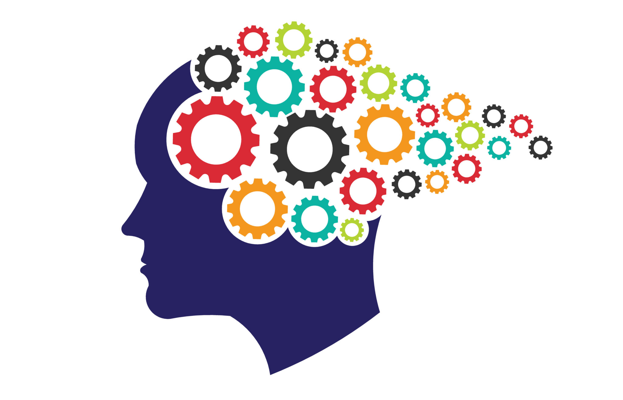 Introduction • Court Ordered Classes • Cognitive Behavioral Therapy • Affordable Online Classes • www.affordableonlineclasses.com