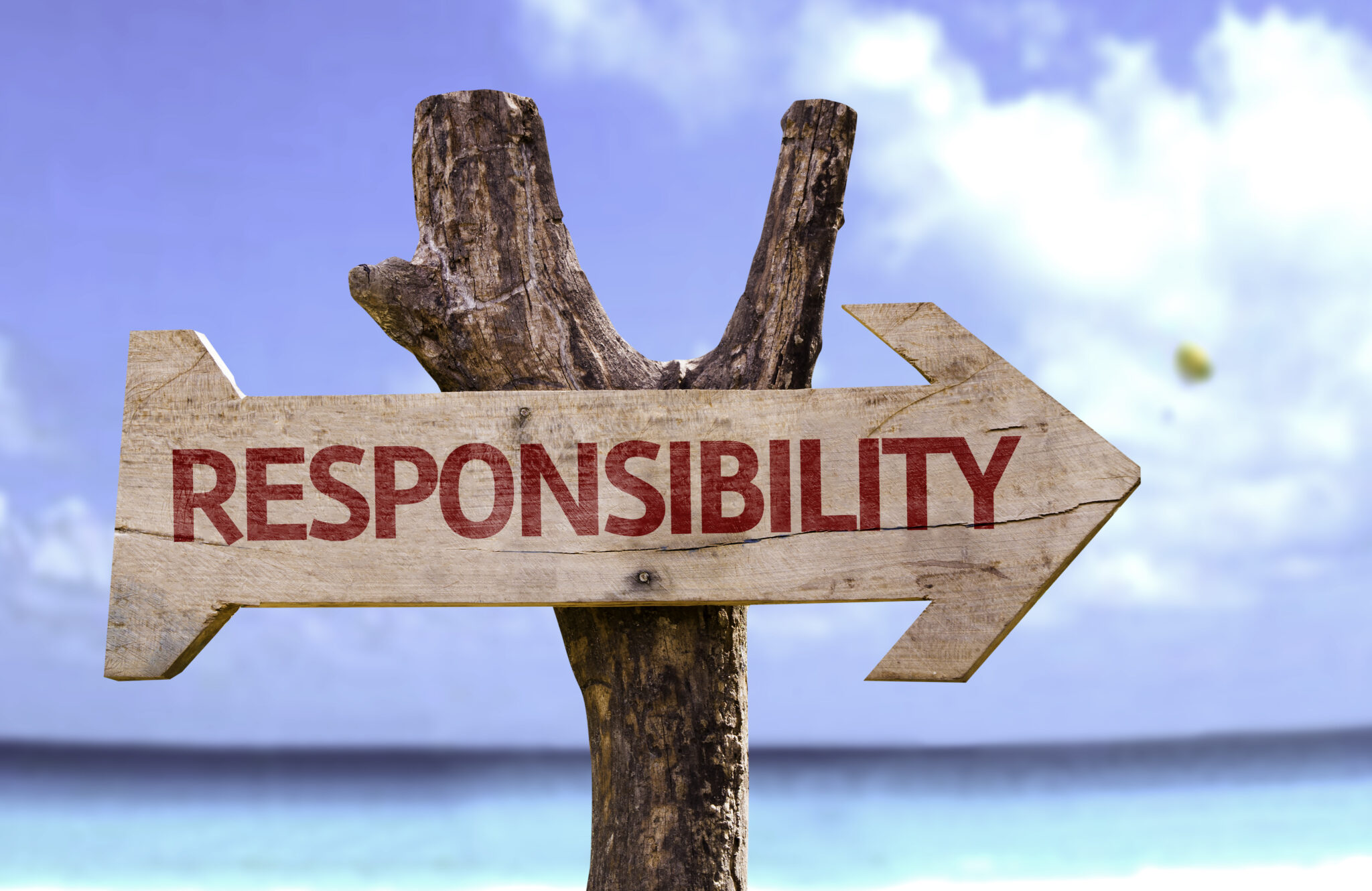 Self-Responsibility • Stalker Class (Self-Paced) • Affordable Online Classes • Court Ordered Classes • Mandatory Training • affordablemandatoryclasses.com