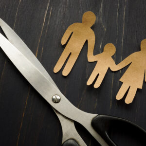 Parental Alienation and Domestic Violence